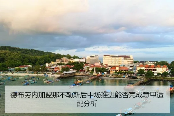 de-bu-lao-nei-jia-meng-na-bu-le-si-hou-zhong-chang-tui-jin-neng-fou-wan-cheng-yi-jia-shi-pei-fen-xi-2-208.jpg