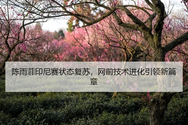 陈雨菲印尼赛状态复苏，网前技术进化引领新篇章