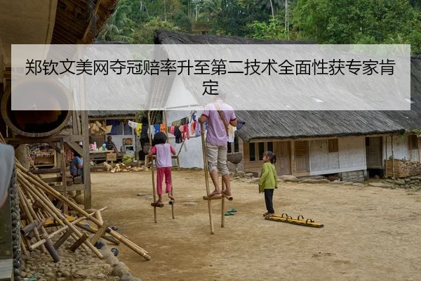 郑钦文美网夺冠赔率升至第二技术全面性获专家肯定