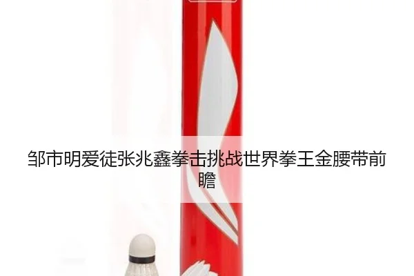 zou-shi-ming-ai-tu-zhang-zhao-xin-quan-ji-tiao-zhan-shi-jie-quan-wang-jin-yao-dai-qian-zhan-2-509.jpg